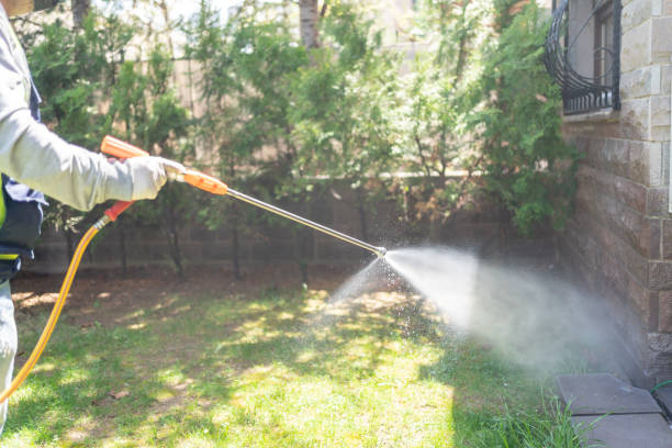 Professional Pest Control in Mickleton, NJ