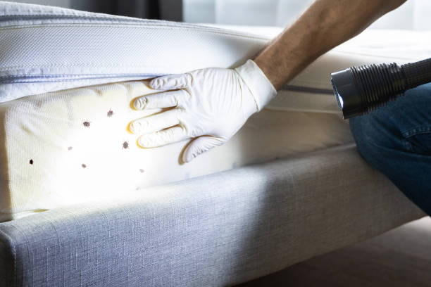 Best Cockroach Control Services  in Mickleton, NJ