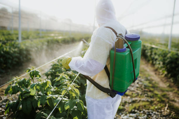 Best Pest Removal Services  in Mickleton, NJ